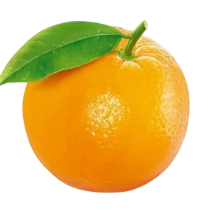 Fresh Organic Oranges